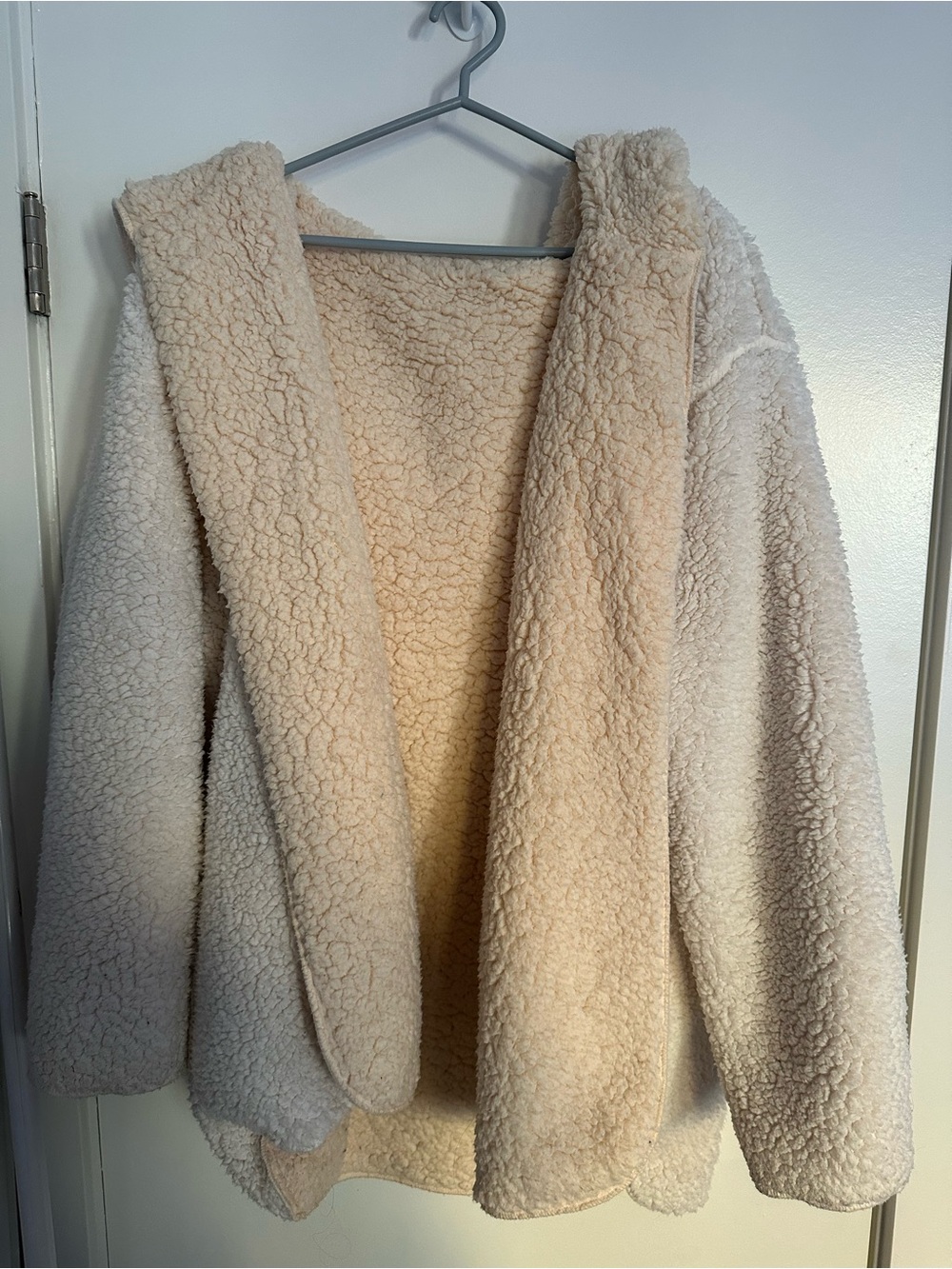Cozy Sherpa Hooded Jacket in Cream
